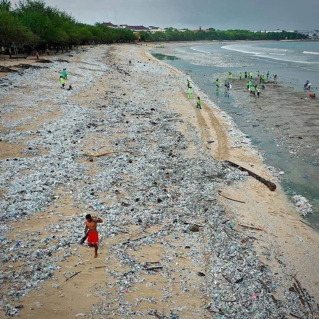 savethyocean's tweet photo. #plasticpollution in Indonesia. This is the current and future state of all nature if we don’t share data to hold governments and polluting industries accountable.
Repost @openlittermap
#climatechange #reducereuserecycle #plasticpollution #saveouroceans #plasticfreeoceans #t… https://t.co/CsX06ayDqq