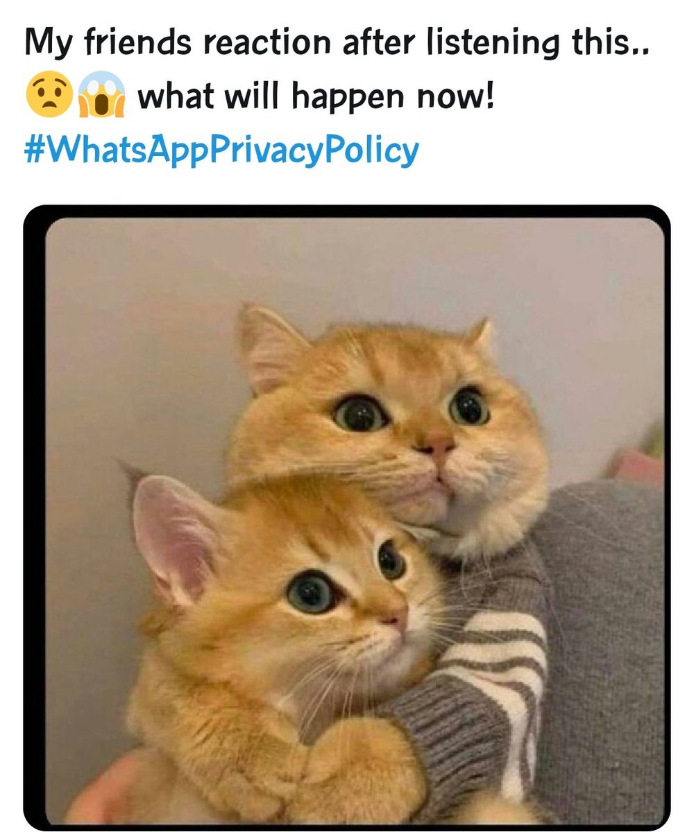 aymanakbar1's tweet photo. @SandalRafiq 😂 https://t.co/weYEJGemB5