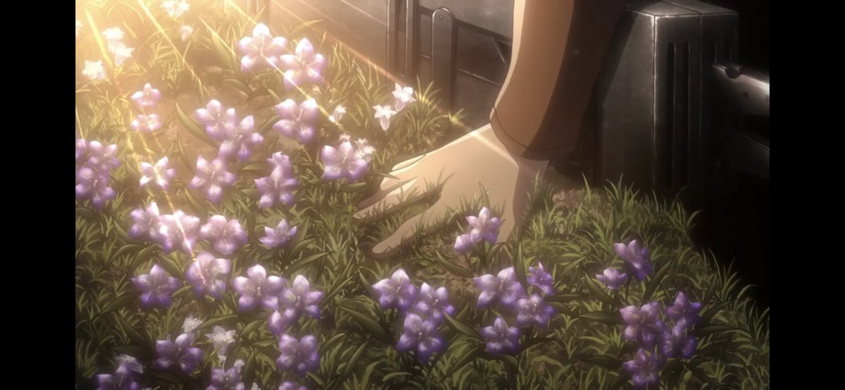 14. Furthermore, the author uses the flowers blossoming, to portray Mikasa’s feelings have finally been expressed, also it shows Mikasa’s genuine feelings for Eren have developed. The purple flowers portray a sense of romance and ever-lasting love.