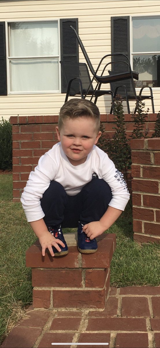 Neumann Mcnally tweet media