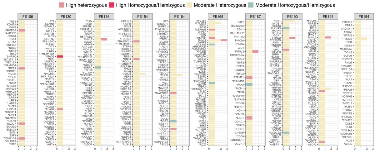 v_colonna's tweet photo. Among prioritized genes: #STAG2, which has a role in congenital and #developmentaldisorders; #TLE4, a key gene in embryonic development, expressed in the #Wnt and #Notch signalling pathways; and #FMNL2, involved in cell motility with a major role in driving #cellmigration. https://t.co/U5eVuRJUSB
