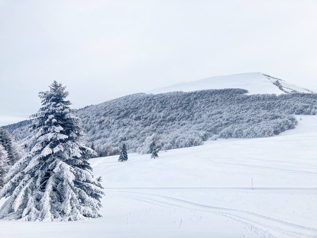 ThibaultSaussac's tweet photo. Traversée du Vercors Sud en  #skating @LeVercorsDrome ! 🤍
#vercors #mountains 
@ladrometourisme @La_drome https://t.co/PAccEKb1QF