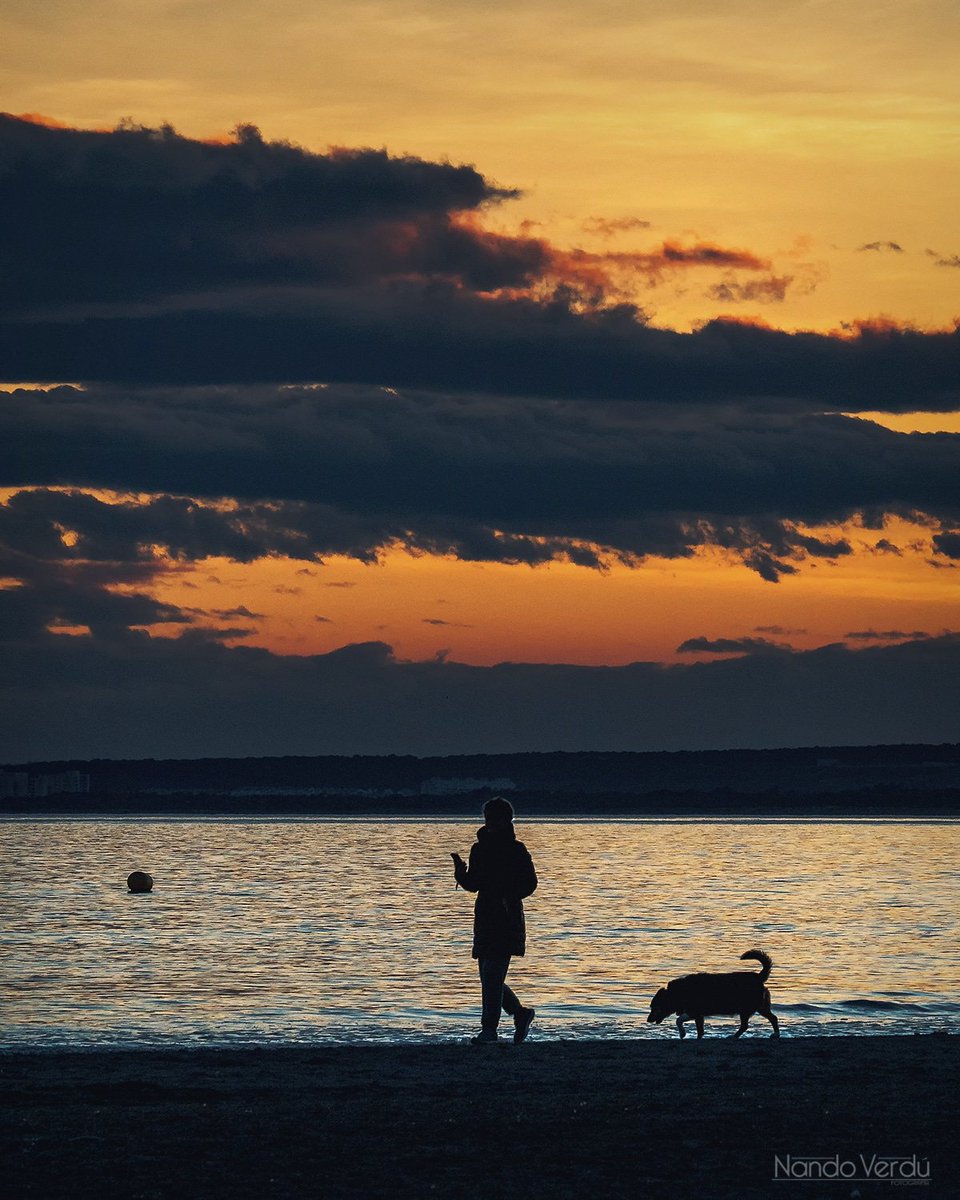 FernandoVerdu's tweet photo. Paseos al atardecer por las playas de Santa Pola
Instagram:
https://t.co/L2yBlrxDLp
Facebook:
https://t.co/U9Ot7Hn6PH
#santapola #Alicante #granplaya #playalisa #Atardecer #sunset #sunsetphotography https://t.co/jAi9kXhLb2