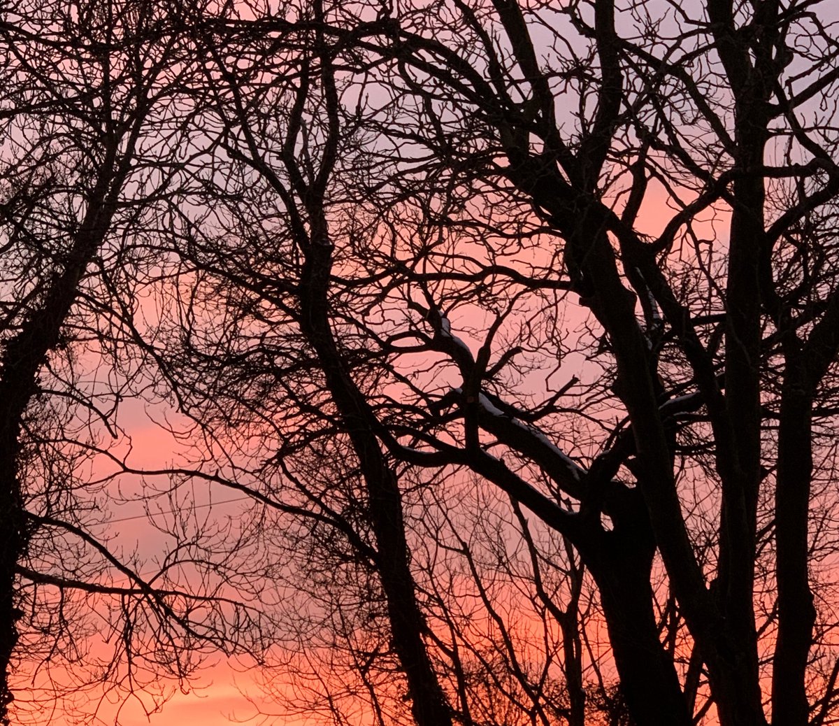 CandyRowe_'s tweet image. Beautiful skies here in Newcastle tonight. Reminds me of those paintings I did at school as a kid where you painted a ‘sunset’ background and when dry, added silhouettes with thick black paint or paper cut outs. #SlowWeekend