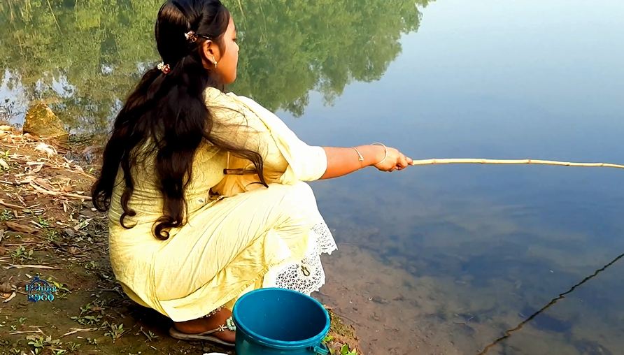 RemiExpress tweet media