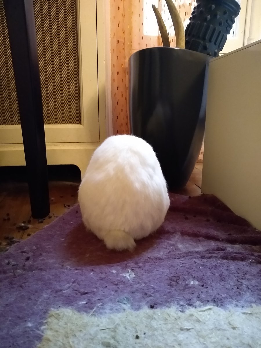 no talk her she angy