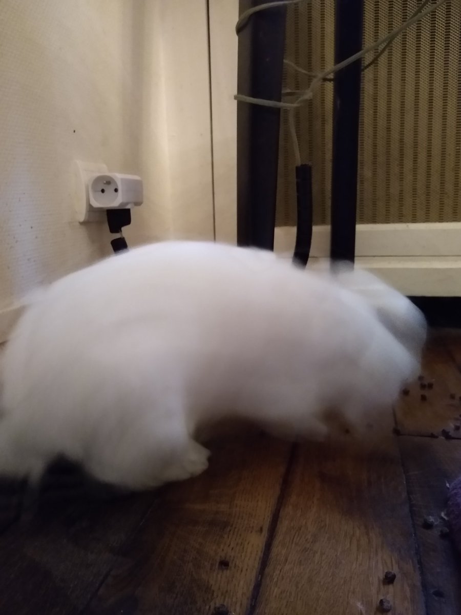 they are SO tired of me probably