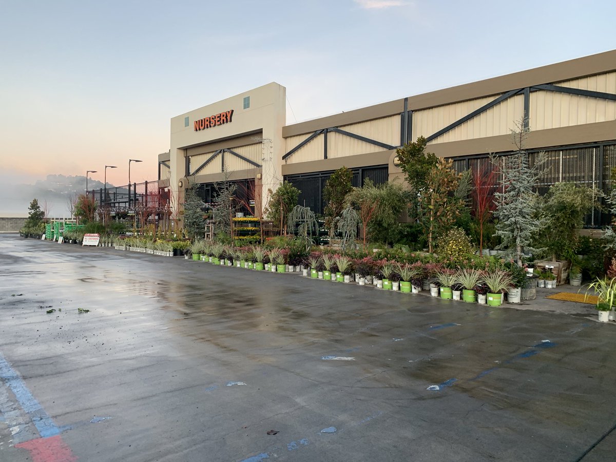 Jeremiah Smith tweet media