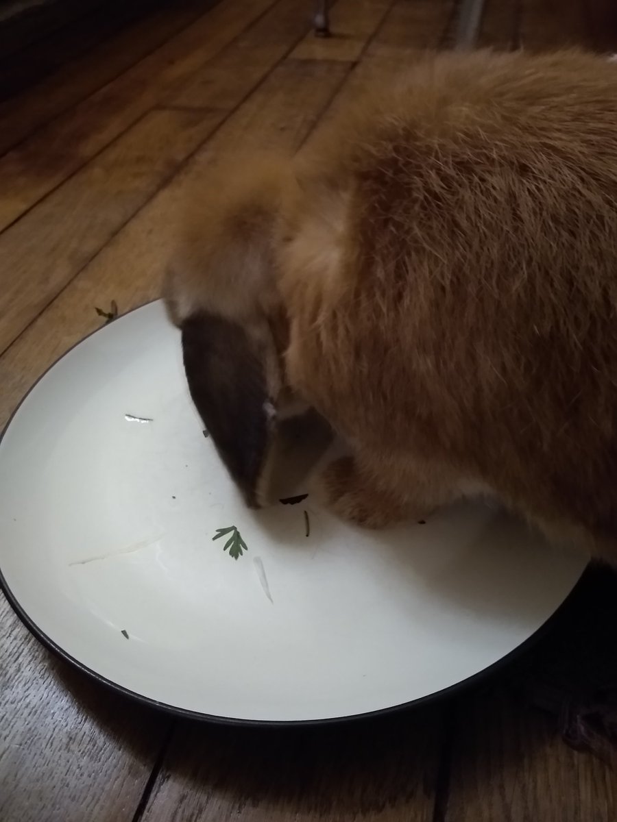 do NOT separate them 