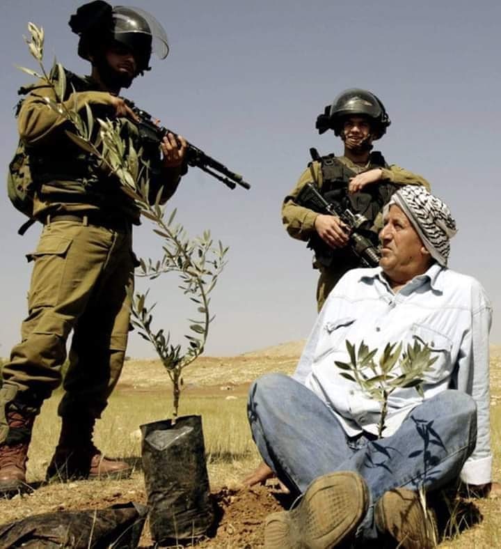 🌿 The Olive Tree     VS     the gun .🔫

💗 Life      VS       death .💔

 💫 The eternal   VS   the temporary. 🌀

#Gaza  , #Jerusalem &amp; #Palestine 
forever .✌️🌿🕊️🇵🇸 
#free #Palestine 🇵🇸 #فلسطين 
#COVID19 #FreePalestine 🕊️