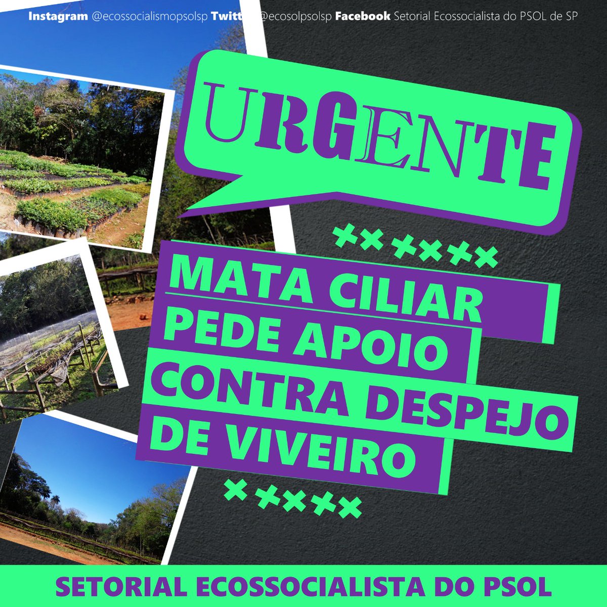 ecosolpsolsp's tweet photo. Um recado importante da Associação Mata Ciliar 👇

Querem destruir nossos viveiros!

A Associação Mata Ciliar tem em Pedreira um viveiro de mudas desde 1987, produzindo mudas nativas para reflorestament que já foram utilizadas na própria cidade.
#MataCiliar
#DespejoNão https://t.co/Zl28vvjPGP