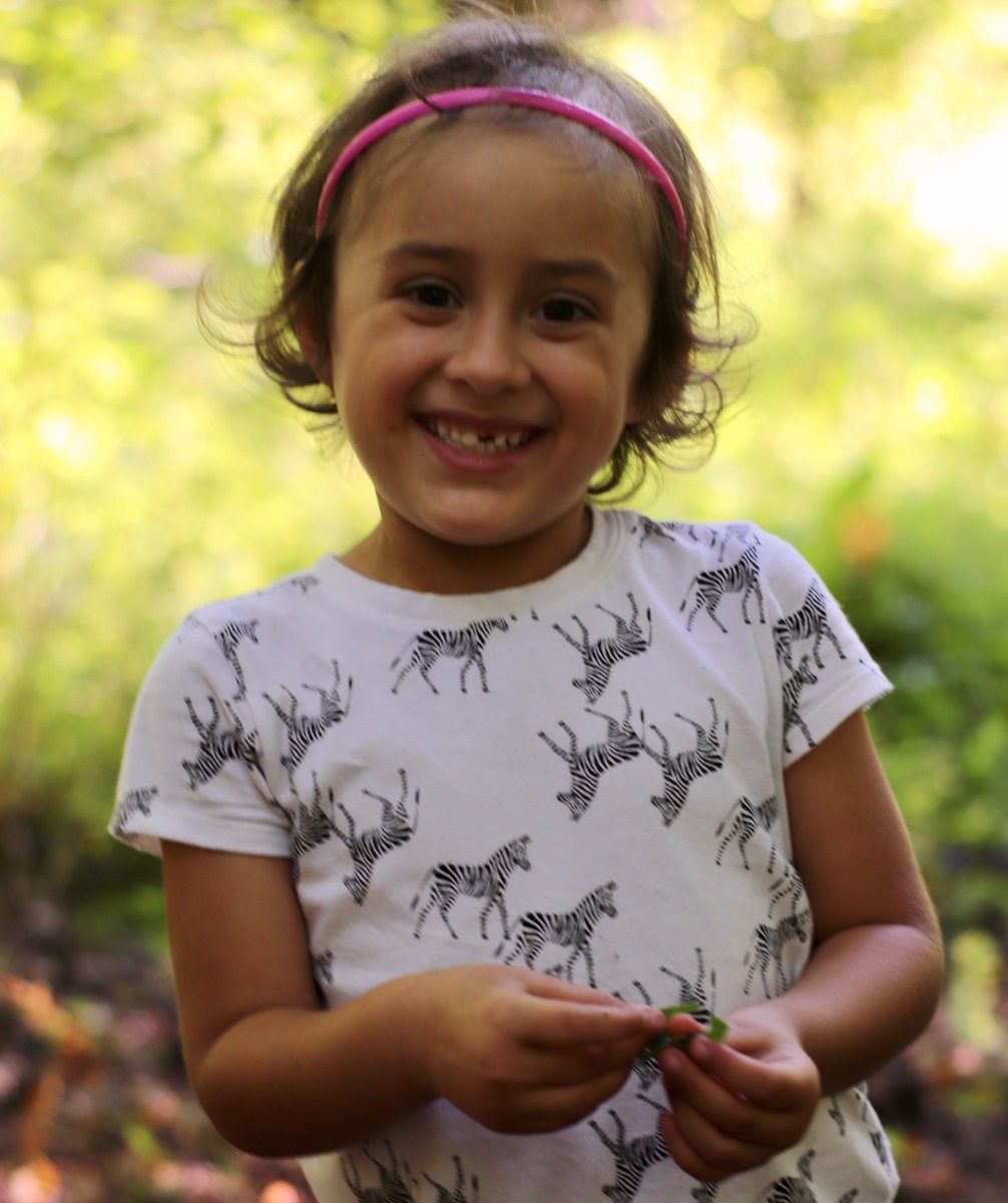 Make-A-Wish America tweet media