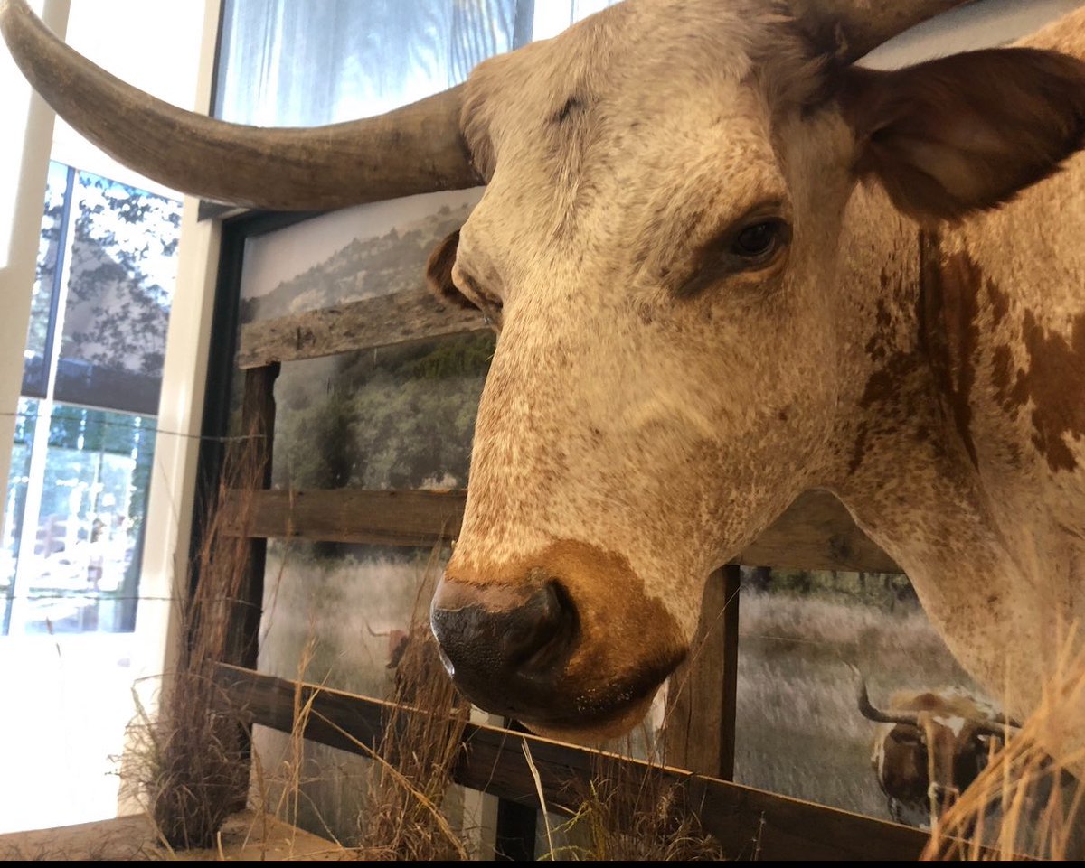 National Cowboy & Western Heritage Museum tweet media