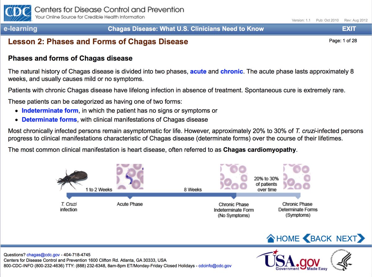 12/ 3) Chagas disease has 2 DISTINCT phases: - The acute phase and the chronic phase. Both phases can be symptom free or life threatening* (this is what got my attention). - The acute phase lasts approximately 8 weeks, and usually causes mild or no symptoms.