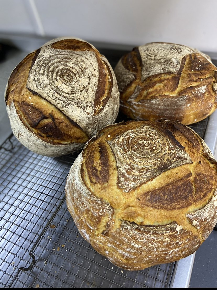 Tommy Heaney tweet media