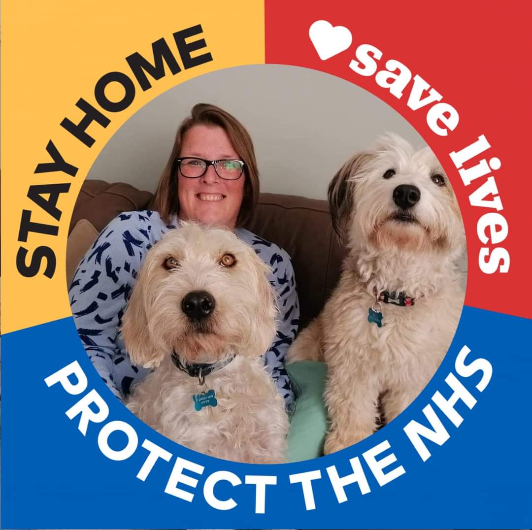 ArchieBall25's tweet image. We got a bery mportant nouncement for ebbrybody.  Our hooomans need to stop going out and spweadin da nasty birus.