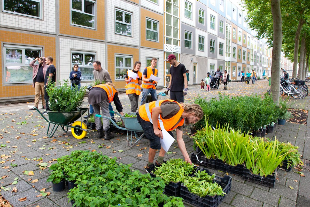HarmaninToronto's tweet photo. Una competencia verde entre Ámsterdam y Rotterdam.

Los ciudadanos sacan las baldosas frente a sus casas.

La de-pavimentación es parte de la estrategia para aumentar la resiliencia ante el cambio climático.

Puntuación: Rotterdam 47,942 -  Amsterdam 46,484 baldosas https://t.co/8QbybNnCCl