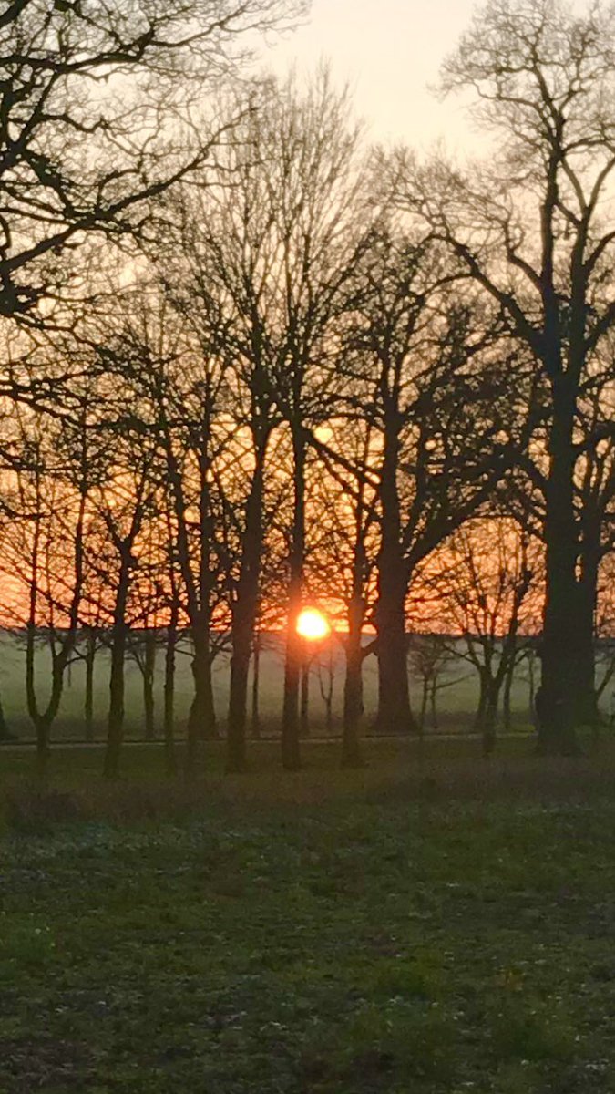 1choicecoaching's tweet photo. Beautiful sunset over the farm tonight ❤️ https://t.co/muDi7nsLbW