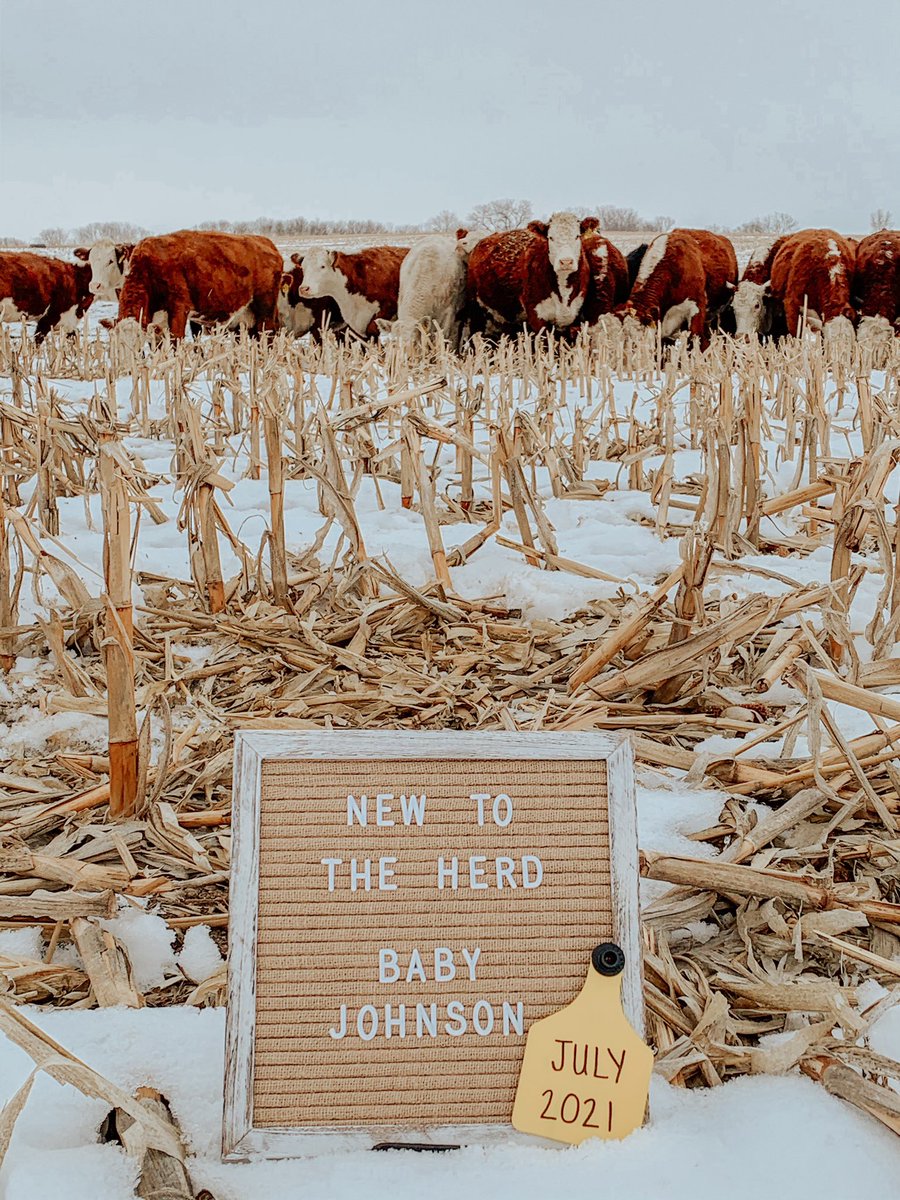 CJohn32's tweet photo. April and I are pretty excited to share the news of baby Johnson coming this summer! https://t.co/NUvaR58PFA