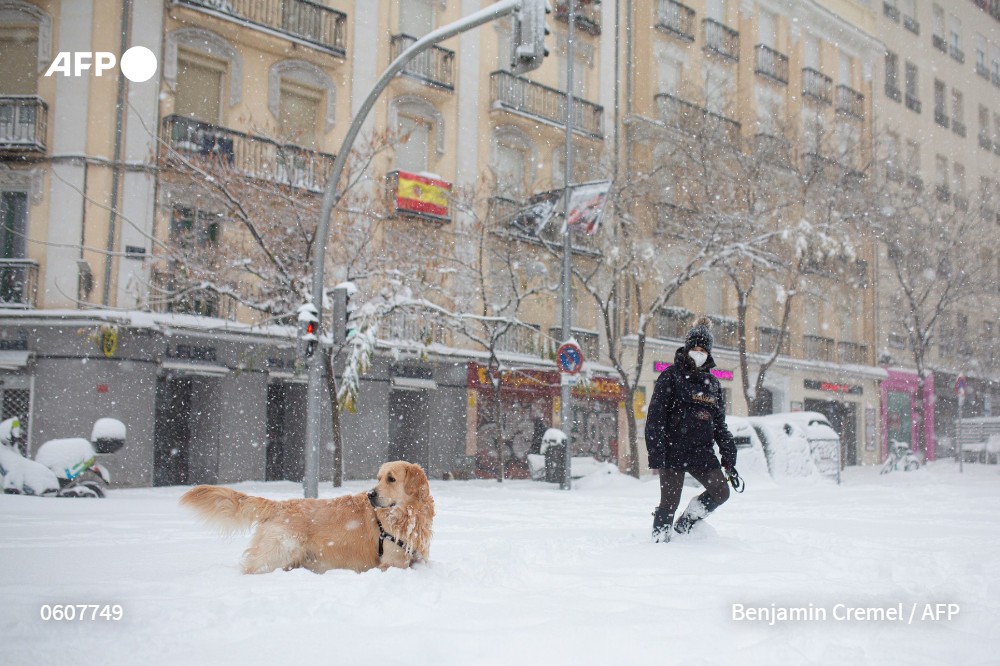 HeleneHPDV's tweet photo. Bon... pas d'opéra @Teatro_Real ce soir ni demain, par contre❄☃https://t.co/LFqFFrglFT
😱 #neige #nieva #vaguedefroid #snowpatch #Espana #Espagne
Photos (c) AFP #NievaEnMadrid https://t.co/VOhAlHpfgX