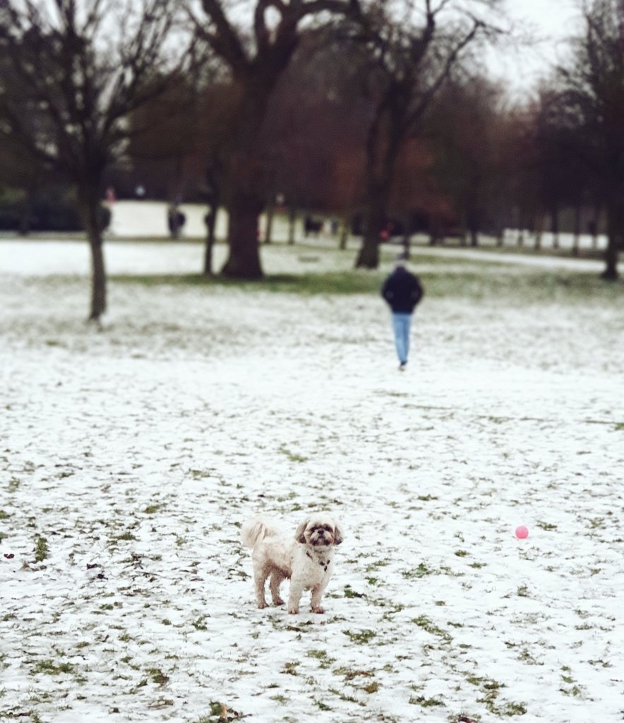 Gemma Stevenson (McGivern) tweet media