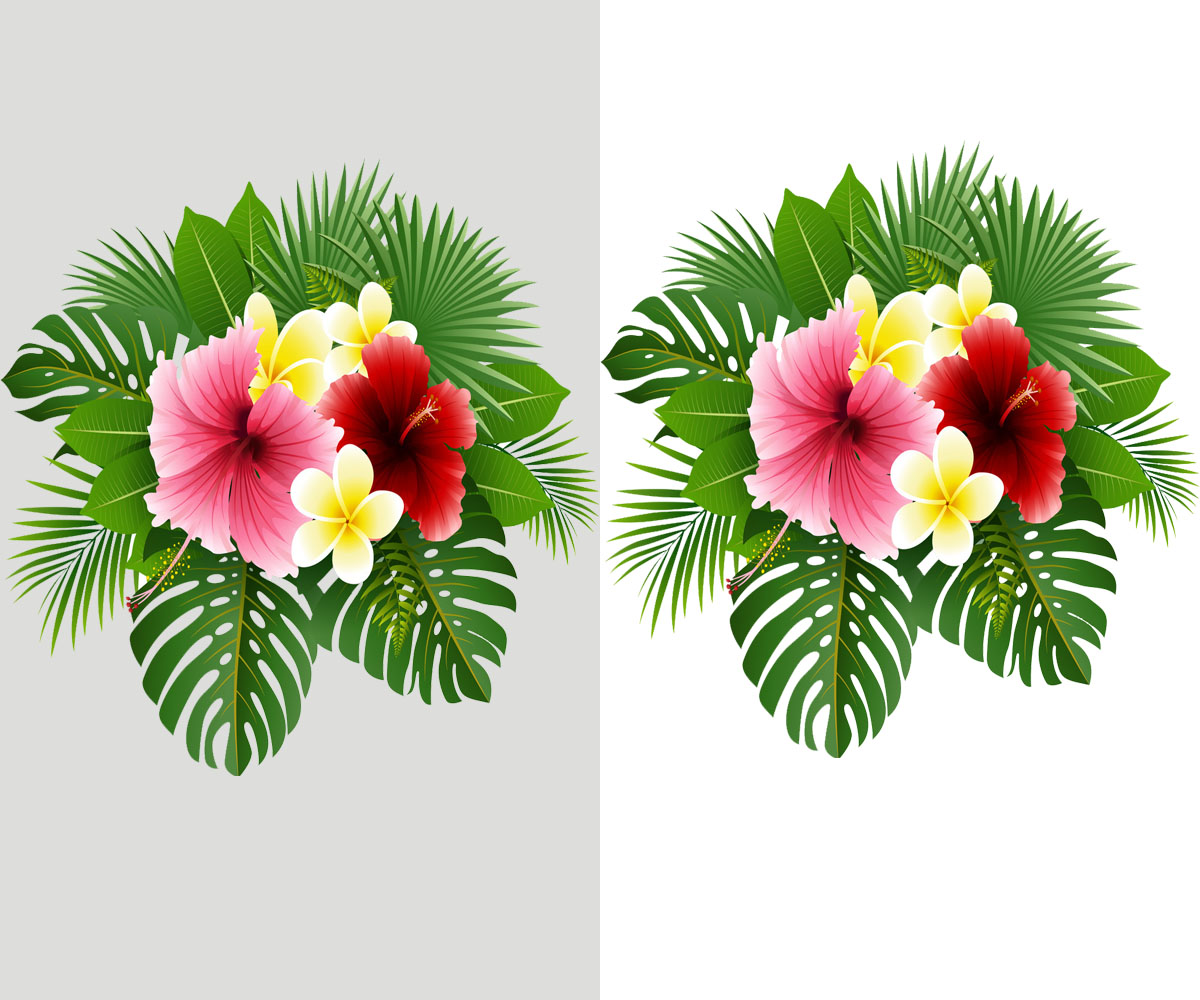 rajia41's tweet photo. Hello I'm freelance Graphic Designer with 3 years experience in #illustration #photoshop
link https://t.co/xcX2bV8McI
#background_removal #background_removal_image #Amazon_product_background_remove #Photoshop_edit #Fiverr #resmenaşığım #madrid #Edit https://t.co/wzzbJNv6Oi