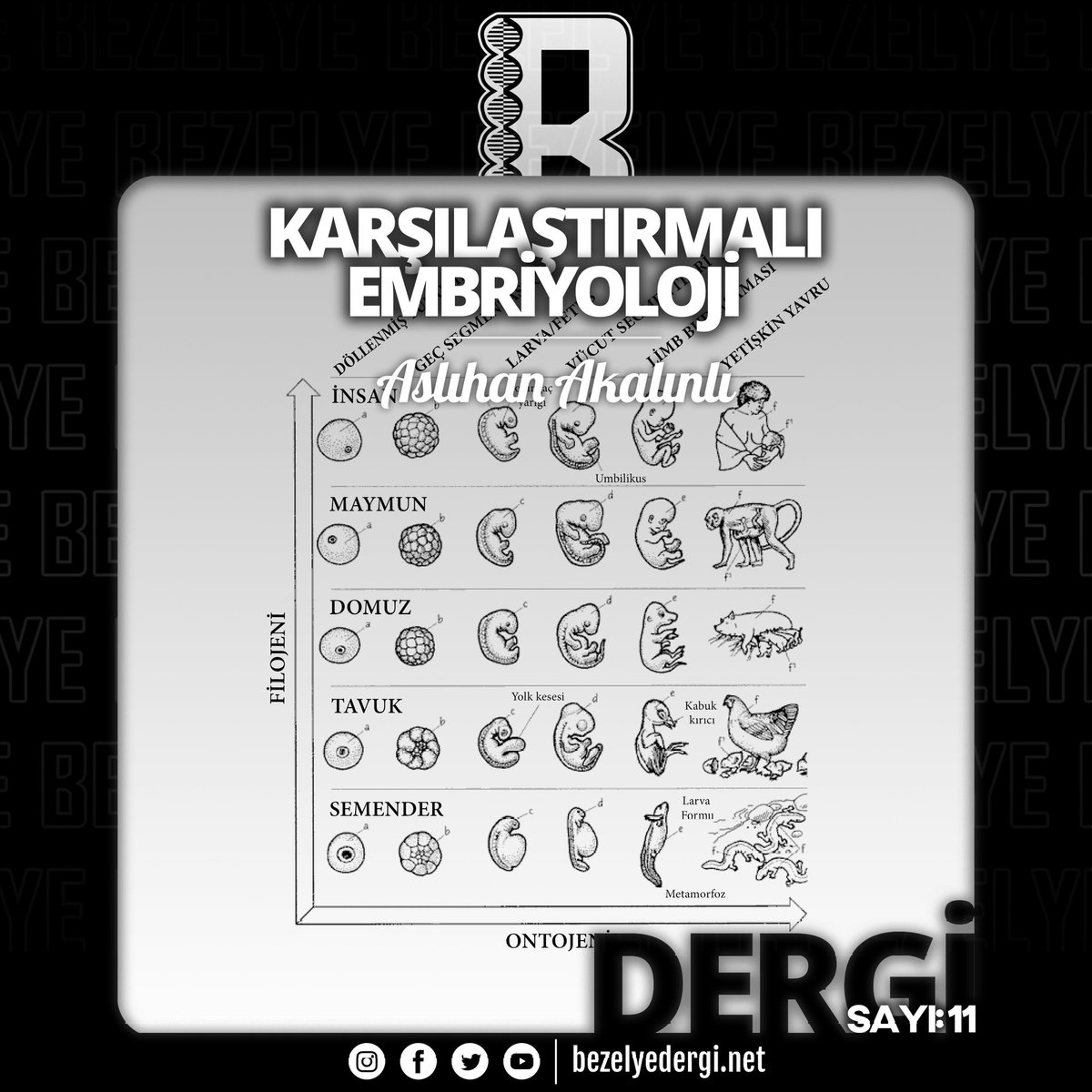 BezelyeDergi's tweet photo. "...Embriyoloji, genellikle zigot oluşumundan başlayarak, embriyonik sürecin son bulmasına dek tüm gelişimleri inceleyen bir anabilim dalıdır..."
➡️ https://t.co/nK0Z4QHD5H
#karşılaştırmalı #embriyoloji #zigot #gelişimselbiyoloji #filojeni #ontojeni #embriyonik #aristotales https://t.co/6fMjOXwQfq