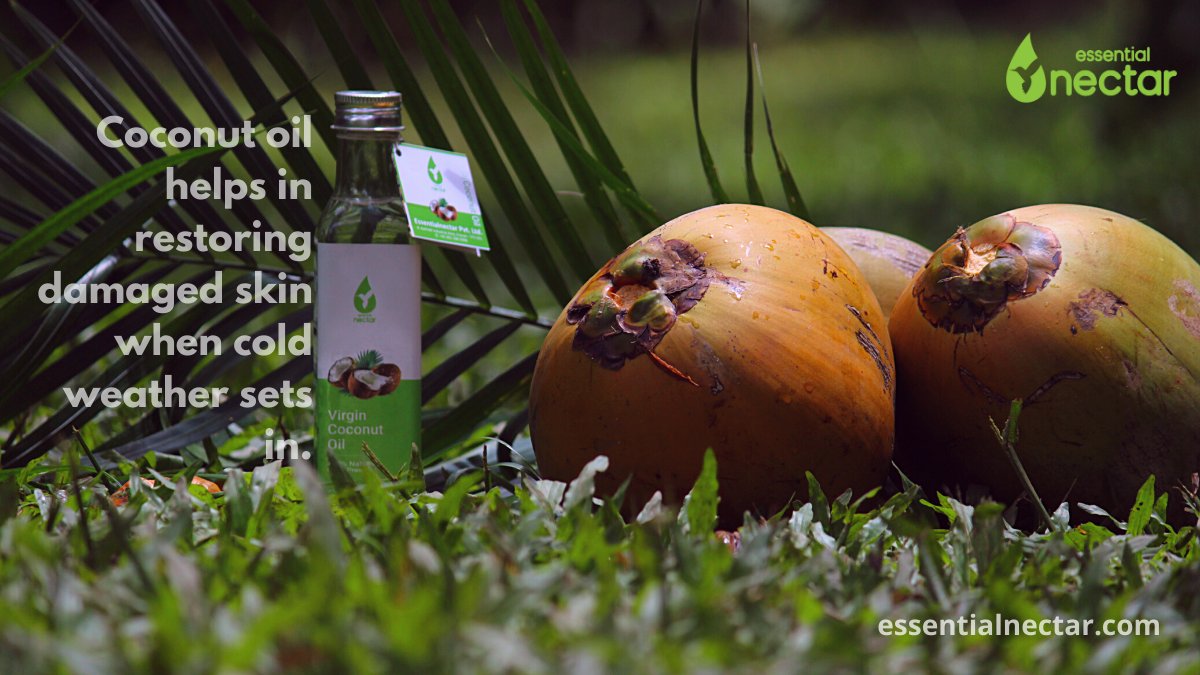 essentialnectar's tweet image. #virgincoconutoil
#essentialnectar
#buylocal
#wintercold

Coconut oil helps in restoring damaged skin when cold weather sets in. 

essentialnectar.com
Ph: +91 9513303399.