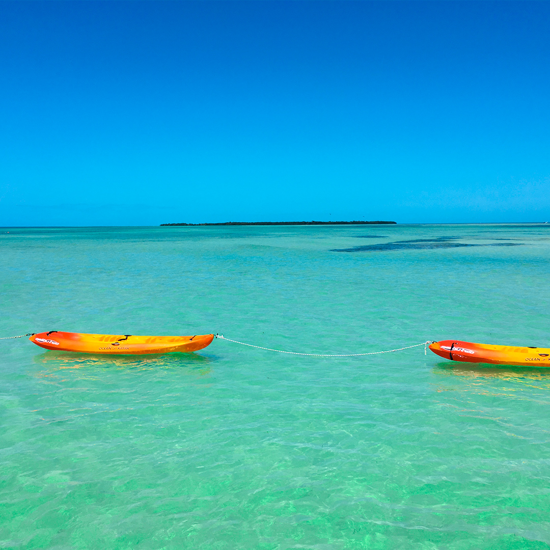 keywestinfoctr's tweet photo. Hop aboard Fury Water Adventures Island Adventure to snorkel the backcountry, relax on a shallow water sandbar and take a guided kayak tour through the mangroves 🌱 
📸 : @FuryKeyWest https://t.co/22ns7JHRFA