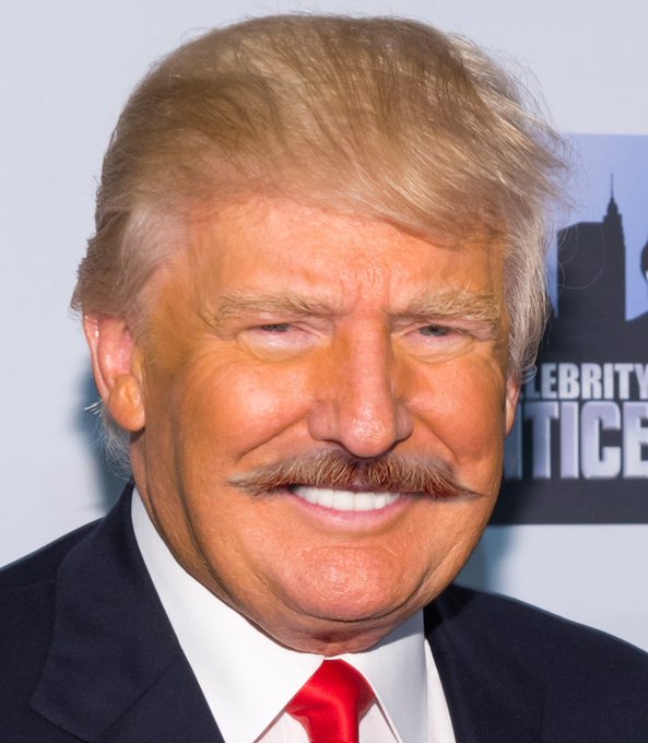 BobbyPiton3's tweet photo. #RonaldTrump
#TwittersNextBan https://t.co/36UiGkQgt4