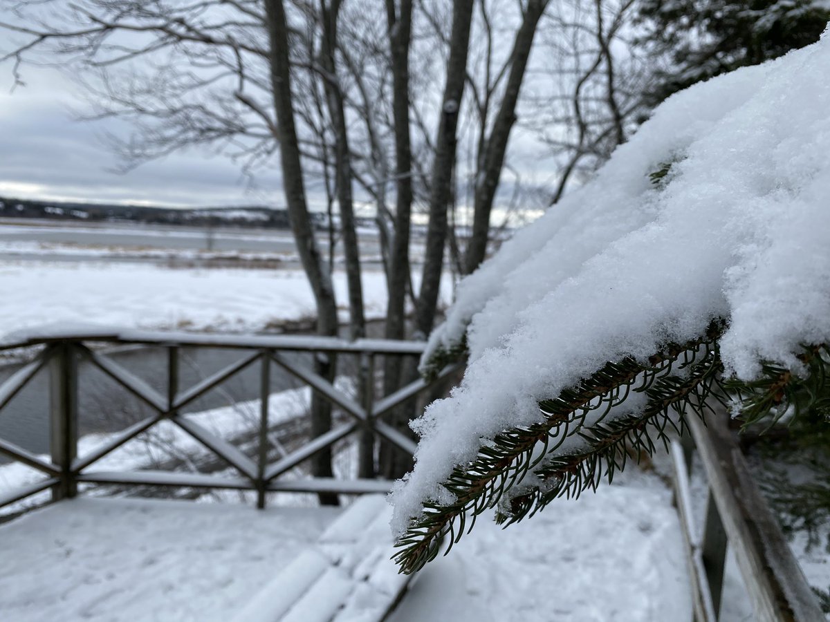 Beautiful day for a peaceful walk of the Antigonish landing! #getoutside #getmoving #hikens #ILoveSnow