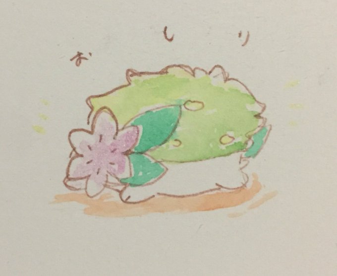 シェイミのtwitterイラスト検索結果