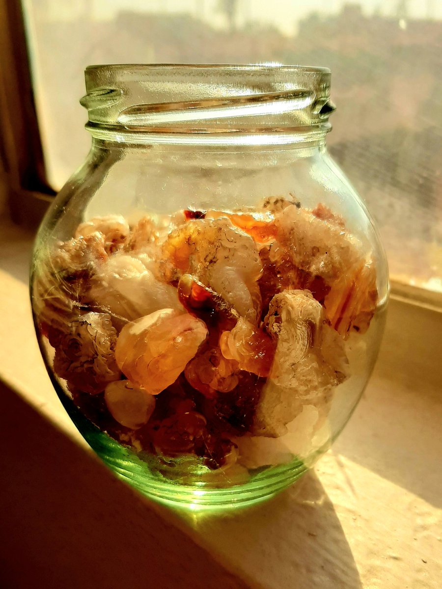 PhoenixEmerald4's tweet photo. A is for... Agate!
January photo challenge #IGGPPC #IGGLEBUGS https://t.co/8uOAZ5udL2