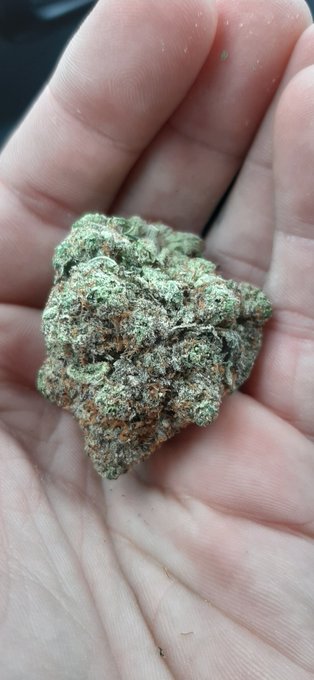 @PrincessTess___ 😍 https://t.co/Ot4nJlueSL<a class="tags" target="_blank" title="On Twitter" href="/?out=eyJ0eXAiOiJKV1QiLCJhbGciOiJIUzUxMiJ9.eyJpYXQiOjE3MjUzNDMxMTcsImlzcyI6InR3cG9ybnN0YXJzLmNvbSIsIm5iZiI6MTcyNTM0MzExNywiZXhwIjoxNzU2ODc5MTE3LCJyZWRpcmVjdF91cmwiOiJodHRwczovL3R3aXR0ZXIuY29tL1ByaW5jZXNzVGVzc19fXyJ9.Cng--uO3-8Qjq2eyRsEznLrJYsloLPol546ytY8b9ZeAooxeDy_88PB860VKJMfN8gz0EthsjWnLJWTRxLawdg">@PrincessTess___</a>