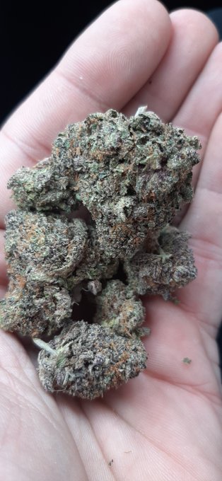 @PrincessTess___ 😍 https://t.co/Ot4nJlueSL<a class="tags" target="_blank" title="On Twitter" href="/?out=eyJ0eXAiOiJKV1QiLCJhbGciOiJIUzUxMiJ9.eyJpYXQiOjE3MjUzNDMxMTgsImlzcyI6InR3cG9ybnN0YXJzLmNvbSIsIm5iZiI6MTcyNTM0MzExOCwiZXhwIjoxNzU2ODc5MTE4LCJyZWRpcmVjdF91cmwiOiJodHRwczovL3R3aXR0ZXIuY29tL1ByaW5jZXNzVGVzc19fXyJ9.niju2PXtG_DiLQkjbyhVTNxEBl-0mnj-blNtjxMG91dGbIzbFtlwCsc52dbpFot30UP6oH8VhIEuPAWJGH5zUQ">@PrincessTess___</a>