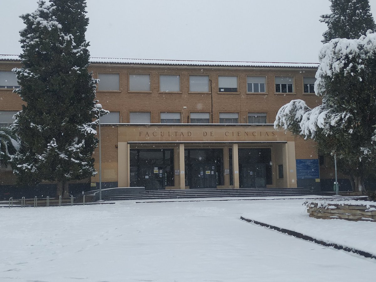 EsteruelasGroup's tweet photo. Zaragoza is dressed in white due to the snow! 🥶☃️ #notalliswork https://t.co/fqq1sqeTPA