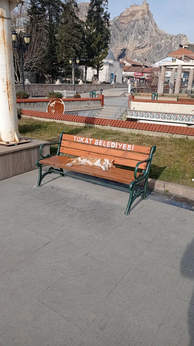 frttsdn6's tweet photo. Mekanın sahibi geri gelmiş 😂 https://t.co/kYS8O1nCzq