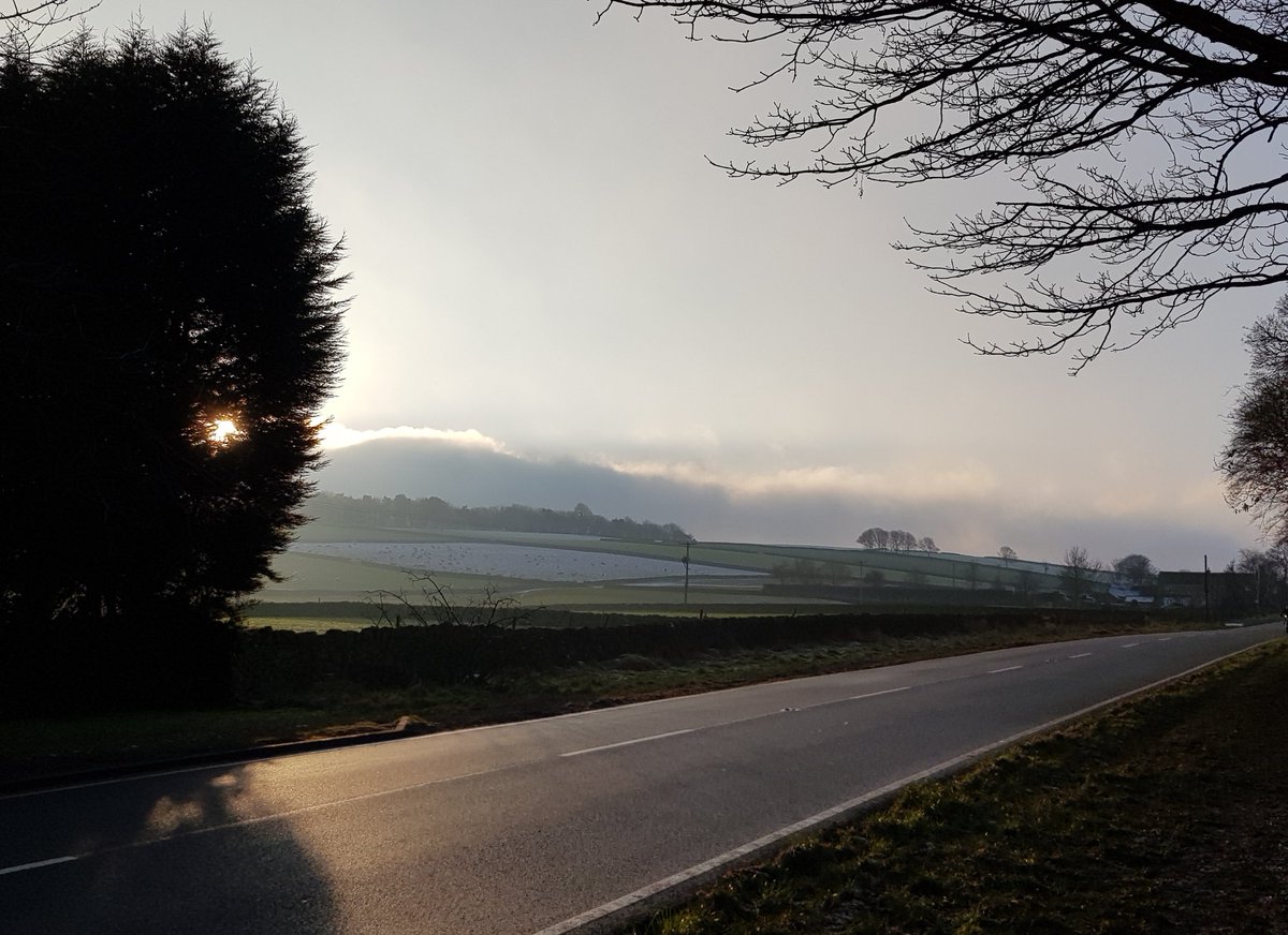 Dan Collis tweet media