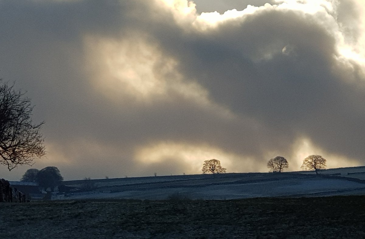 Dan Collis tweet media