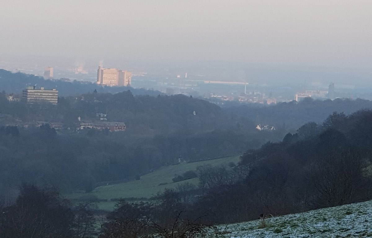 Dan Collis tweet media