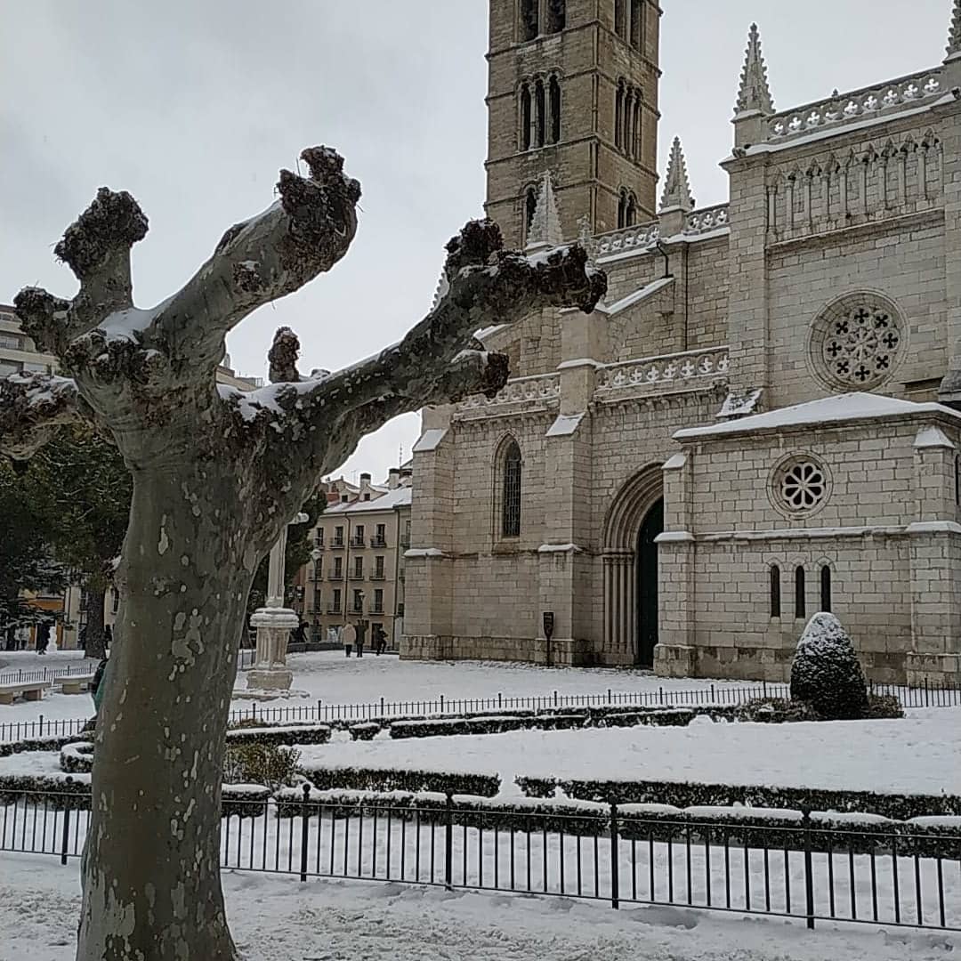 Aranalon's tweet photo. Nieve en Valladolid
#nieve #Valladolid #Filomena #frio https://t.co/npw8nSo5bS