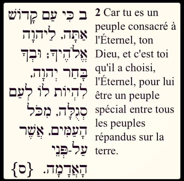Magik_Rabbi's tweet photo. Chavoua tov oumazal tov Éliahou HaNavi zakhor létov https://t.co/HM4ujq9chJ