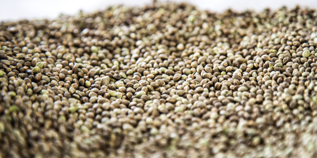 New Year, New You! Check out our hemp grain nutrition profile and compare against soy and corn. Add this amazing, nutritious grain to your life in 2021! ow.ly/C67550D3IH8

#health #hemphealth #hemp #hempgrain #hempseed #SaturdayVibes