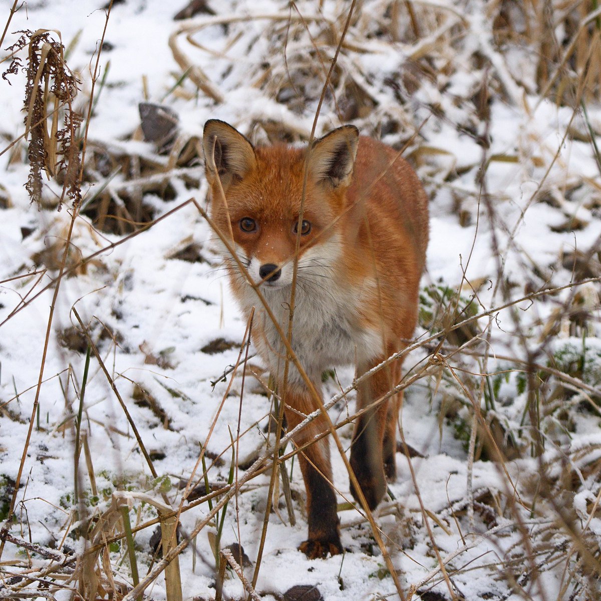 Rob Fergie tweet media