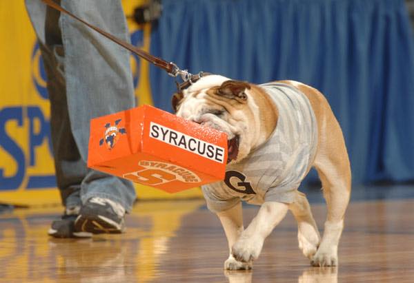 hoyablue's tweet image. GAMEDAY. ❌🍊