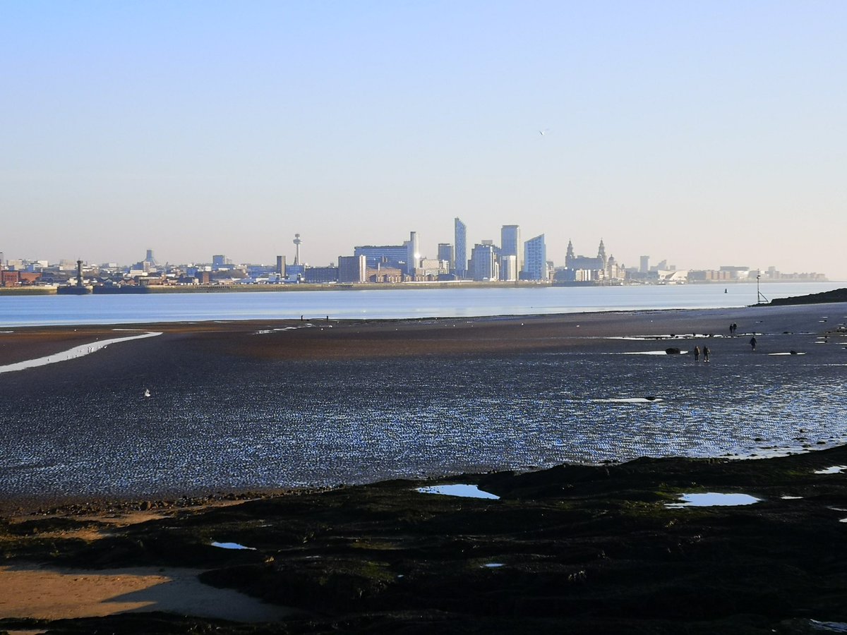 Craig brown tweet media