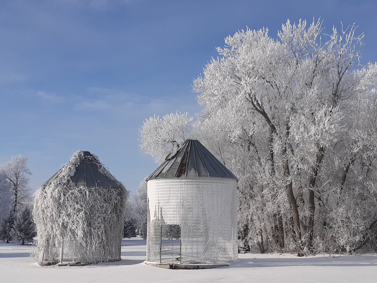 Incredible frost on a couple of grain bins by long lake, Morris, Minnesota.
  #weather #mnwx #frost #farm #Farmers 
@kare11wx @FOX9 @NWS @weatherchannel @WeatherNation https://t.co/I3qizUtQ4D