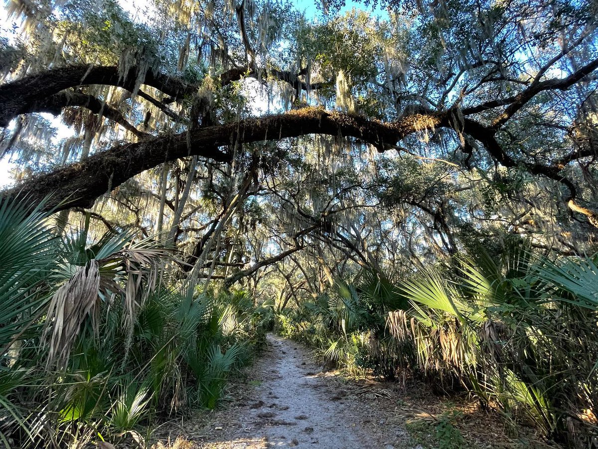 Jodicab22's tweet photo. It was a good day to play outside. 🚶🏼‍♀️Chilly but pretty! #FloridiansGoOutside #WalkOffTheHangOver #Explorer #FuneralForMyFat

📸 https://t.co/ARBneAJCrE via https://t.co/5ttQiDWlXB https://t.co/olg1ghAfSv