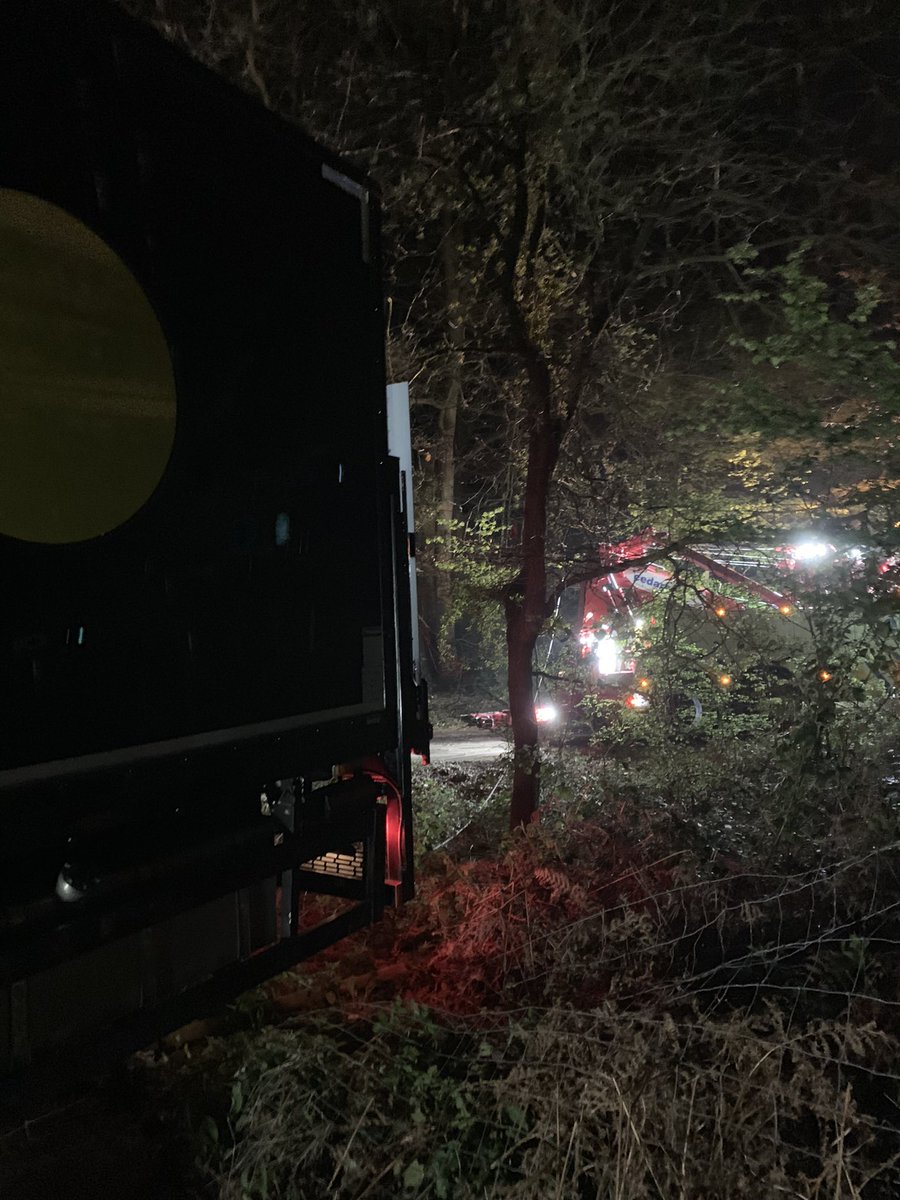 Maddison Hawkins tweet media