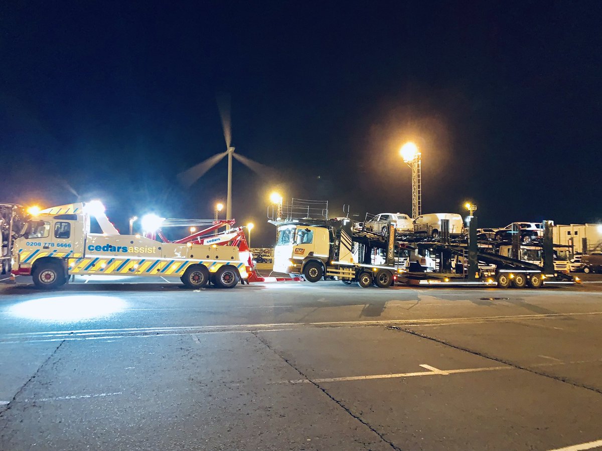 Maddison Hawkins tweet media